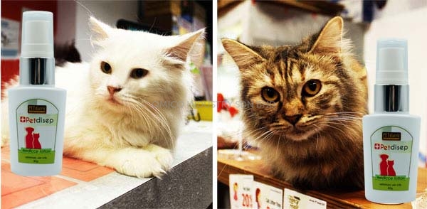 petdisep cat