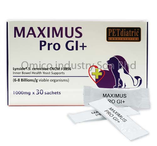 maximus-pro-gi